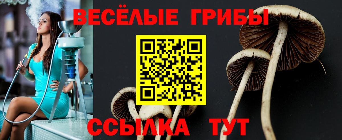 Псилоцибиновые грибы мицелий Красногорск